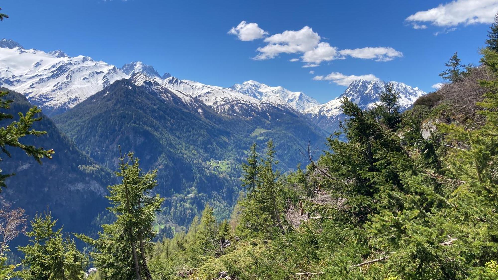 Bel Appartement 2.5 Pieces Avec Balcon, Magnifique Vue Sur Le Glacier Des Grands Finhaut Bagian luar foto